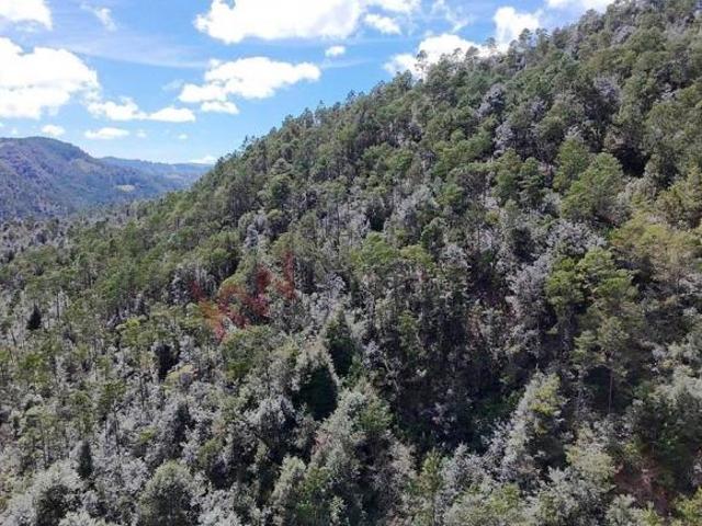 Terreno en venta en Tlamimilolpa, Acaxochitlán