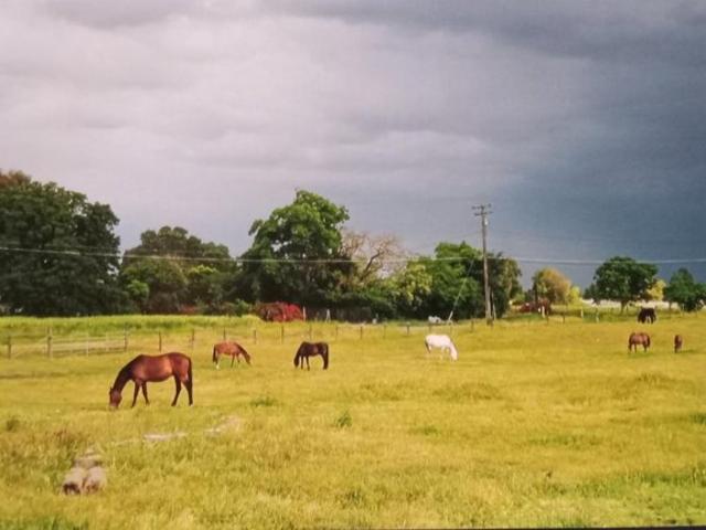 Land for sale in Rio Linda, California
