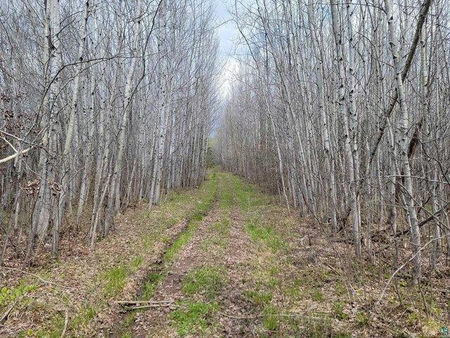Land for sale in Hovland, Minnesota