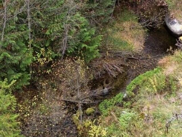 Land for sale in Colville, Stevens County