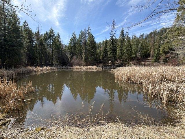 Land for sale in Addy, Washington