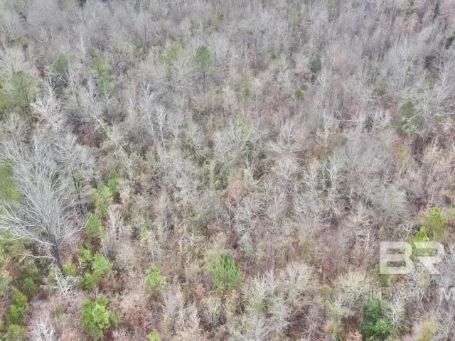 Land for sale in Beatrice, Alabama
