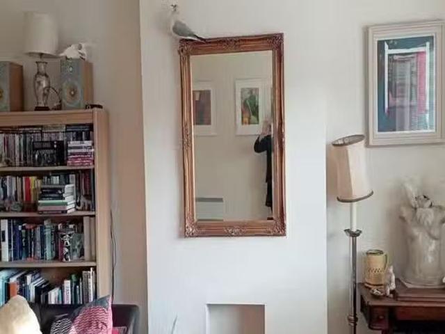Room to rent in Loch Garman, North Tipperary