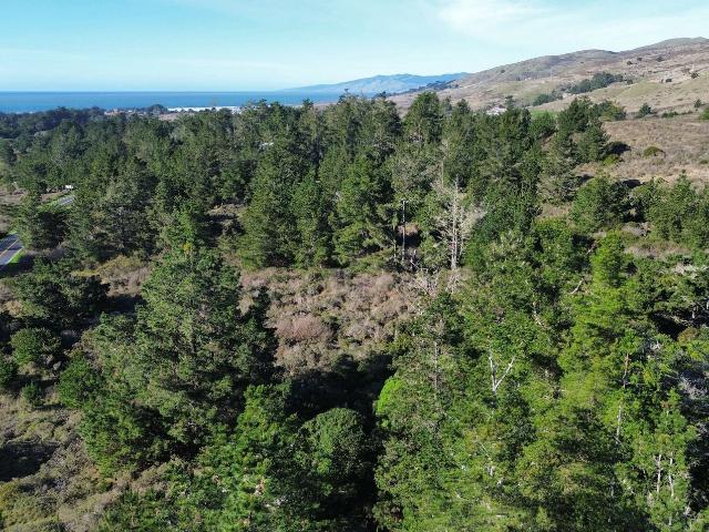 Property for sale in Bodega Bay, California