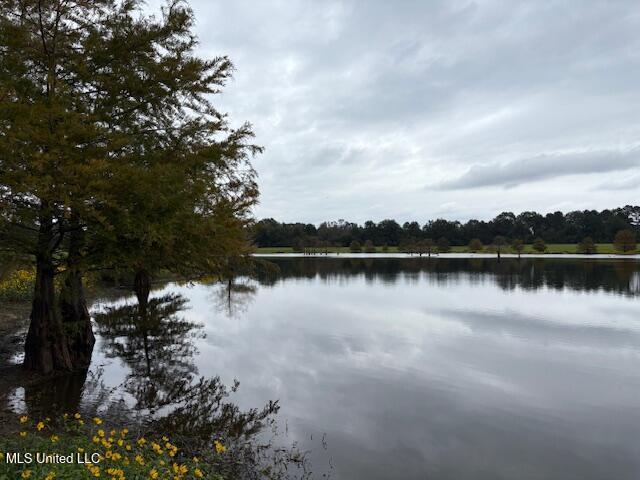 House for sale in Forest, Mississippi