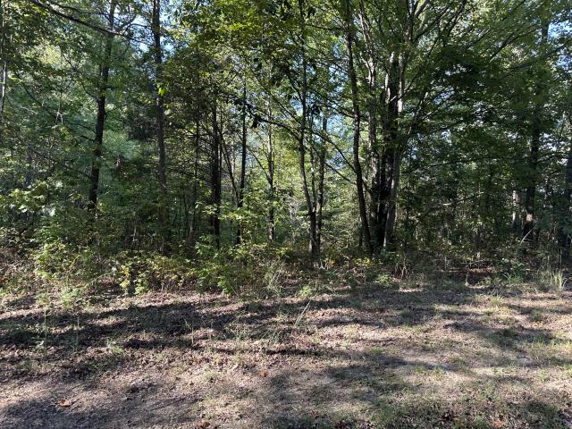 Farm for sale in Tennessee