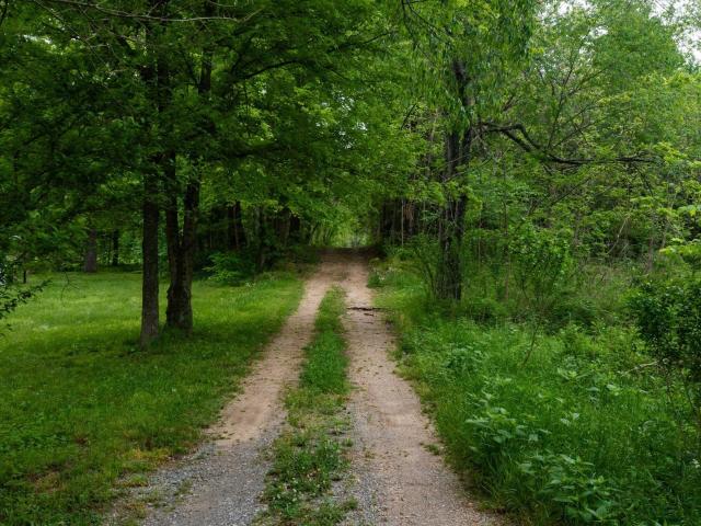 Farm for sale in Tennessee