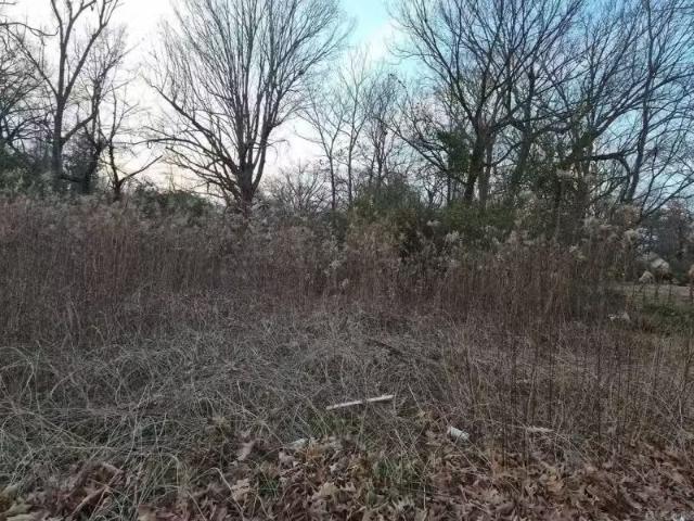 House for rent in Ark