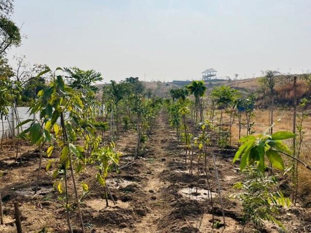 Land for sale in Satara, National Capital Territory Of Delhi