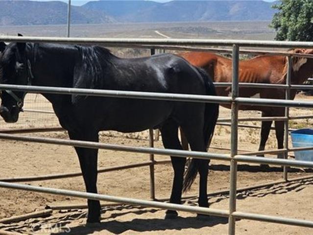 House for sale in Hemet, California