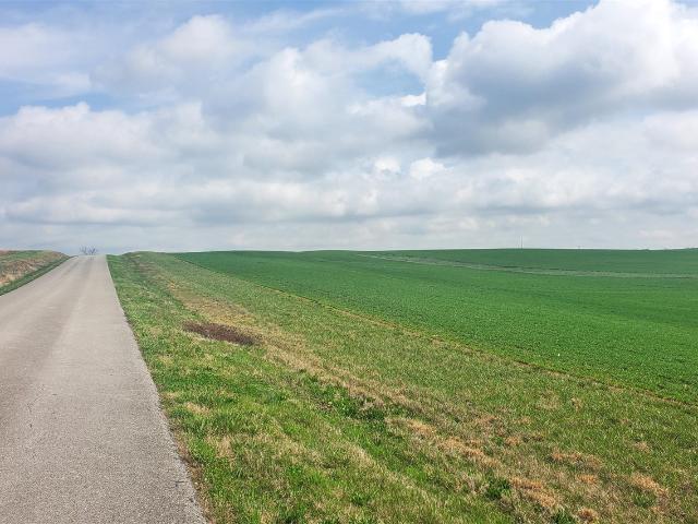 Land for sale in Simpson, Kentucky