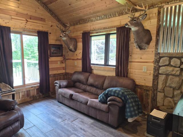 House for sale in Big Falls, Minnesota