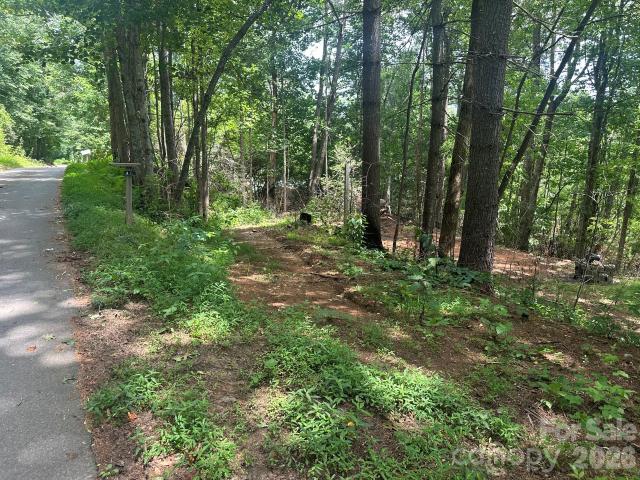 Land for sale in Transylvania, North Carolina