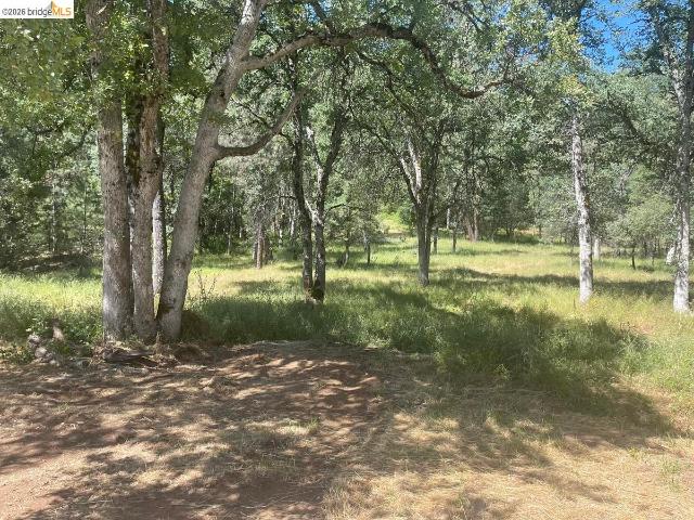 Land for sale in Tuolumne, California