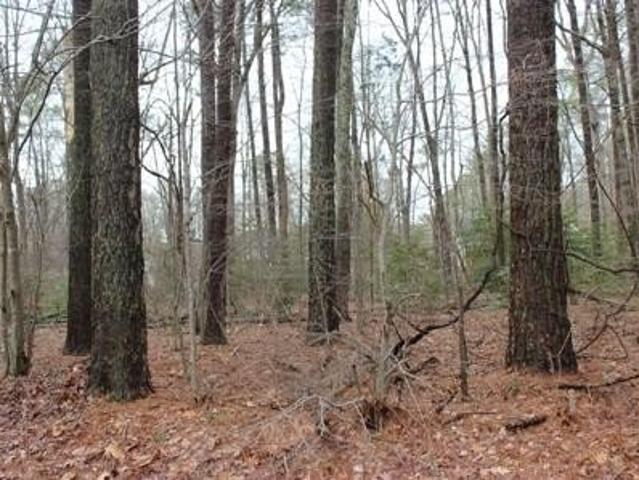 Land for sale in Virginia