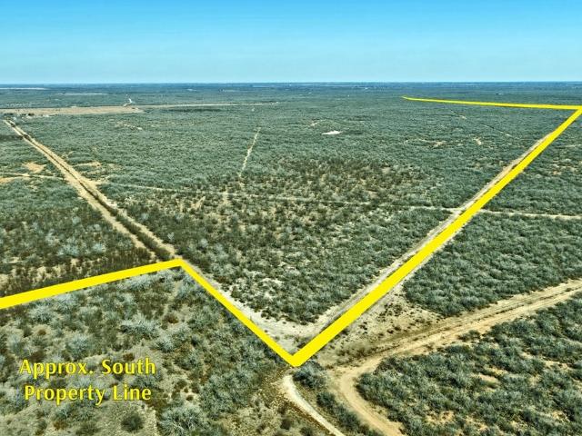Land for sale in Alice, Texas