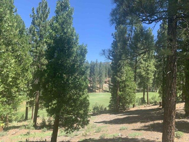 Land for sale in Portola, Plumas County