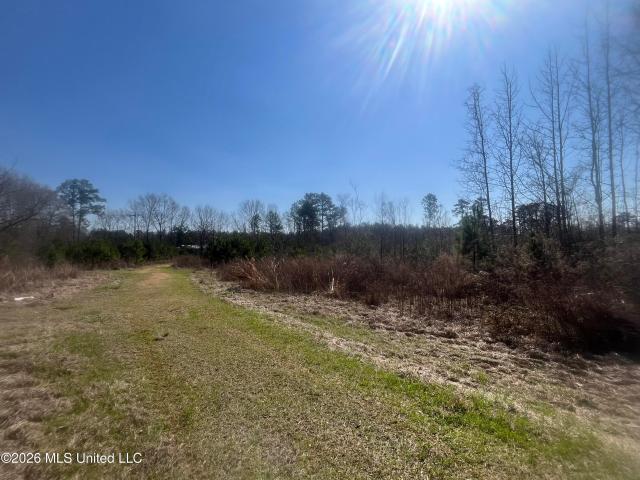 Land for sale in Bogue Chitto, Mississippi
