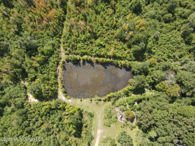 Land for sale in Bogue Chitto, Mississippi