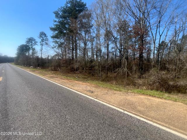 Land for sale in Bogue Chitto, Mississippi