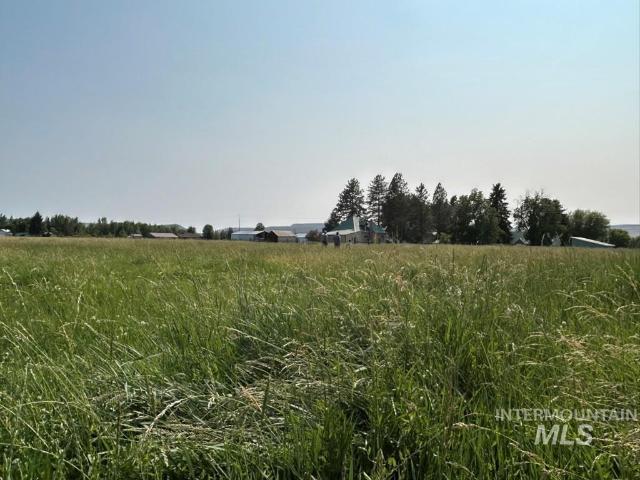 Land for sale in Indian Valley, Idaho