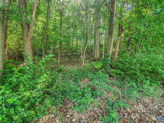 Land for sale in Huntsville, Alabama