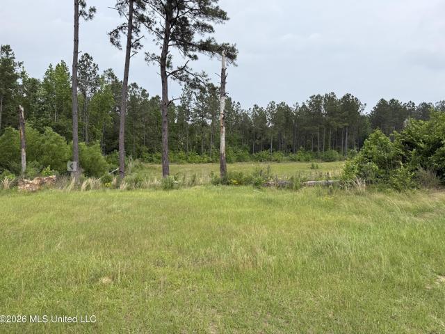 Land for sale in Wesson, Mississippi