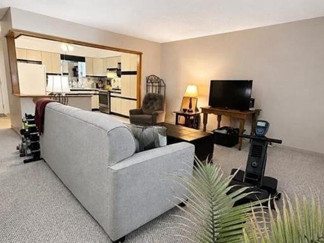 House for rent in Mount Forest, Wellington North
