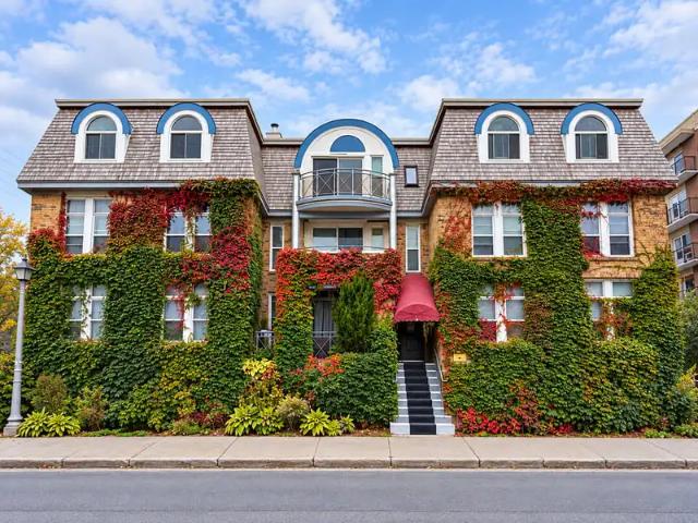 Condo for rent in Rideau-Vanier, Ottawa