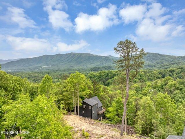 Land for sale in Tennessee