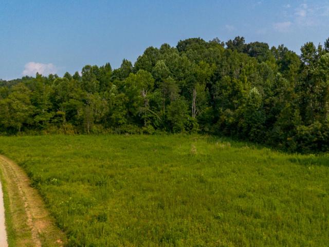 Land for sale in Tennessee