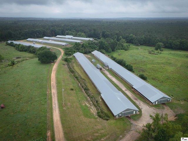 Farm for sale in Bienville, Louisiana