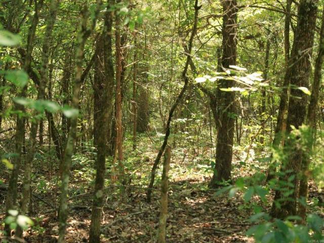 Land for sale in Horseshoe Bend