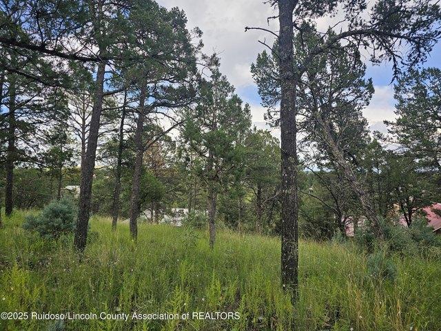 Land for sale in Alto, New Mexico