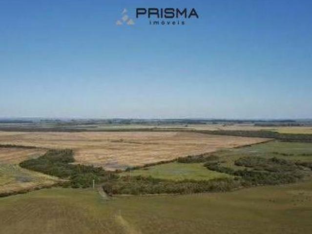 Sítio e chácara venda em São Gabriel, Região Geográfica Intermediária de Santa Maria