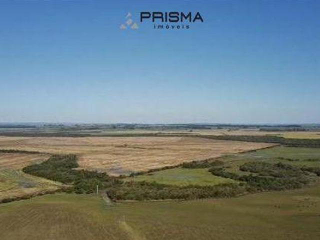 Sítio e chácara venda em Região Geográfica Imediata de São Gabriel - Caçapava do Sul, São Gabriel