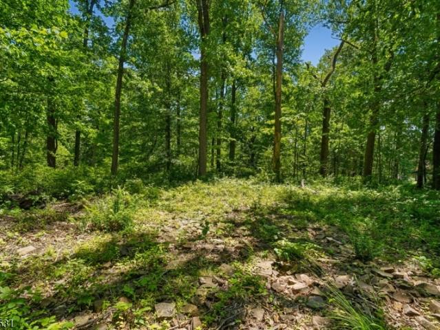 Land for sale in Warren, New Jersey