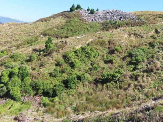 Property for sale in Tararua District