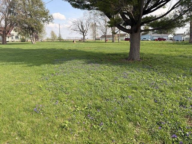 Land for sale in Putnam, Illinois
