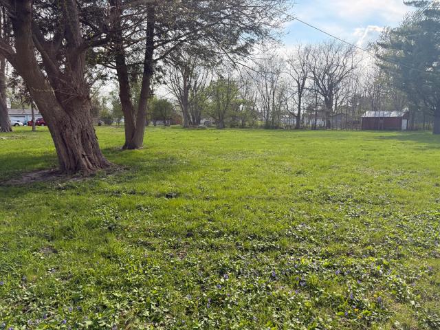 Land for sale in Putnam, Illinois