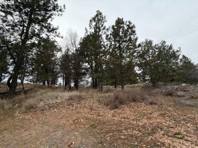 Land for sale in Roosevelt, Washington