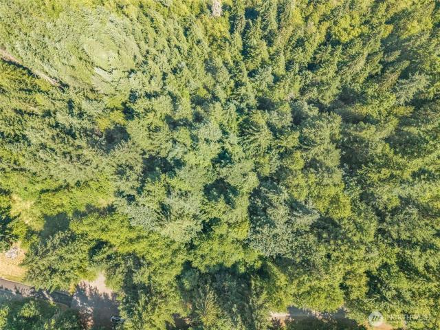 Land for sale in Mossyrock, Washington