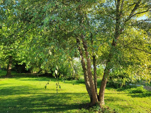 House for sale in Dongola, Union County