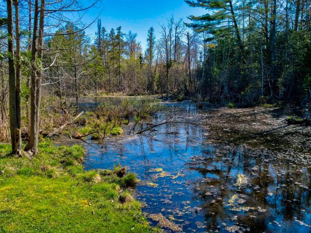 Land for sale in Paradise, Michigan
