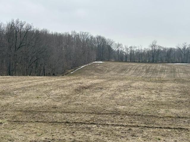 Land for sale in Buchanan, Michigan