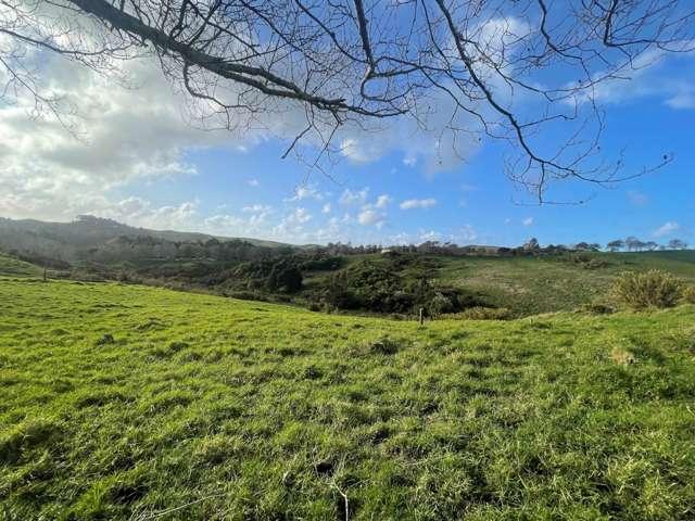 Property for sale in Kawau Island