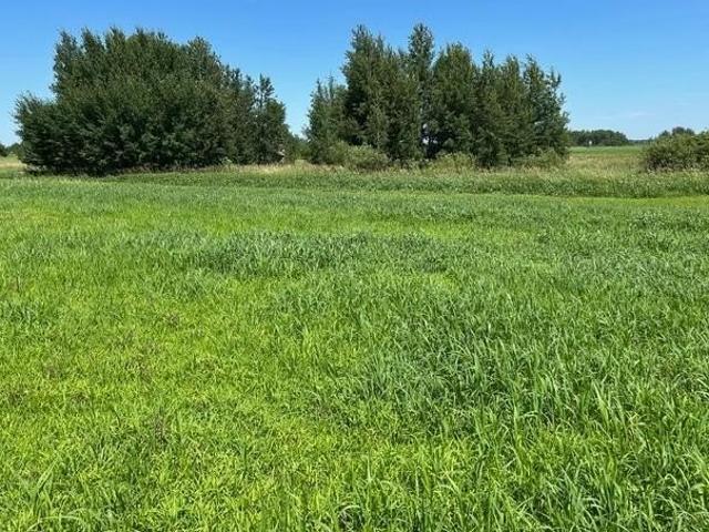 Land for sale in Glenwood, Minnesota