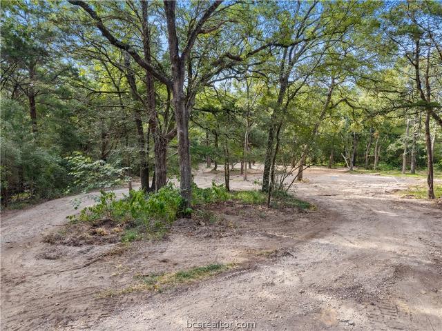 Land for sale in Millican, Texas