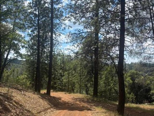 Land for sale in Grass Valley, California