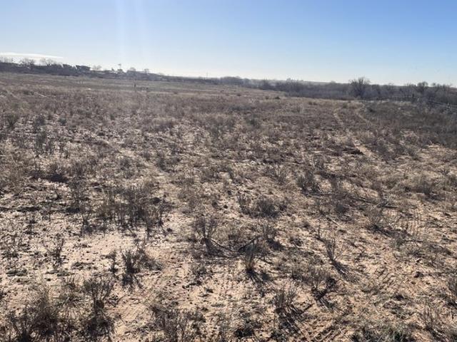 Farm for sale in Dawson, Texas